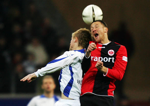 张楚桐亚冬 张楚桐亚冬